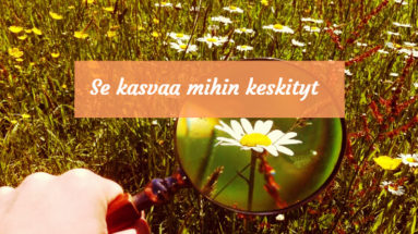 se kasvaa mihin keskityt