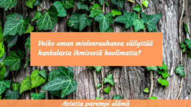 voiko oman mielenrauhansa säilyttää hankalasta ihmisestä huolimatta